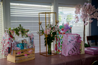 Teagan Baby Shower