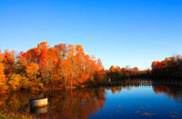 Landscapes
