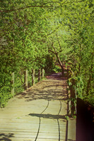 Lake Largo 2011-12