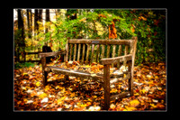 Fall 2009 - Montgomery County, MD