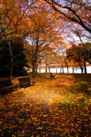 Fall 2010 - Tidal Basin, WDC