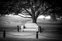 Arlington National Cemetary & Memorial Amphitheater
